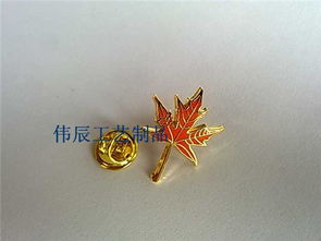 重庆哪里有做胸章,重庆订做胸章,重庆做胸章