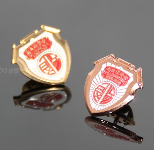 浙江技术学校徽章制作与定制厂家指南 打造独特校园标识